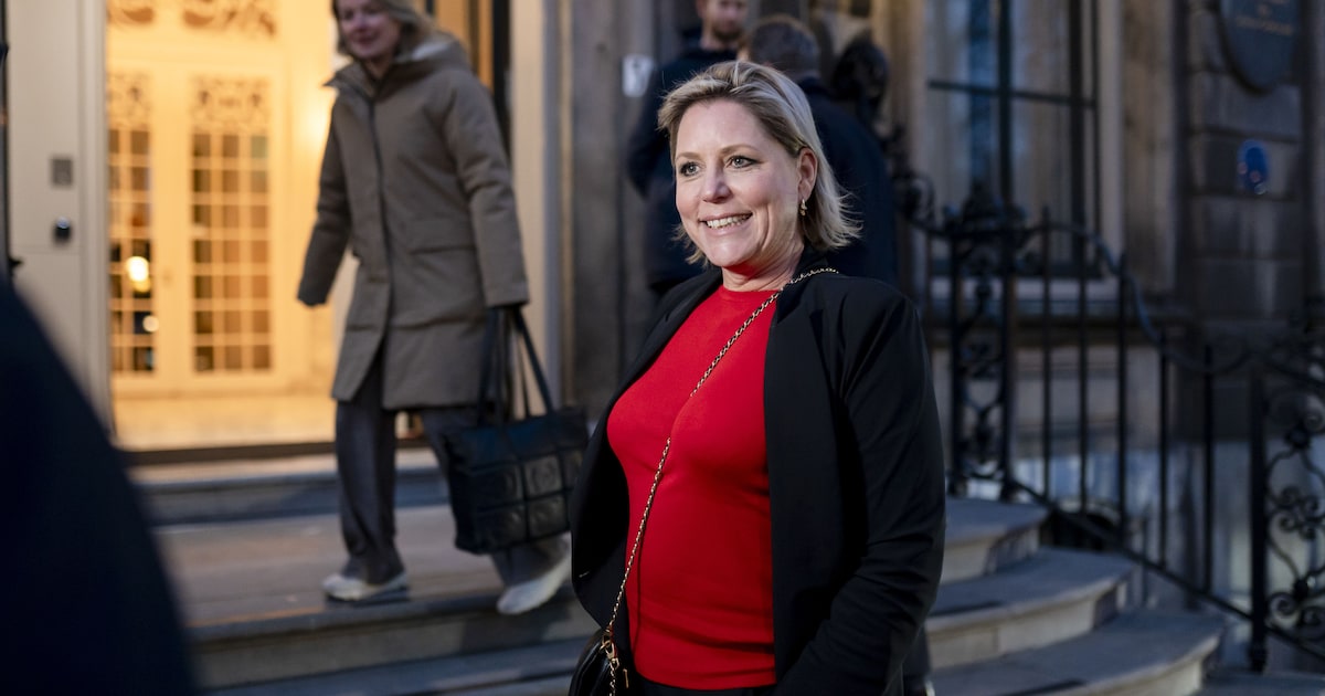 Dit is het geheime wapen van informateur Letschert | Politiek | PZC.nl