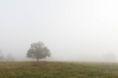 Opklaringen en lokaal nevel of mist op Tholen in de nacht