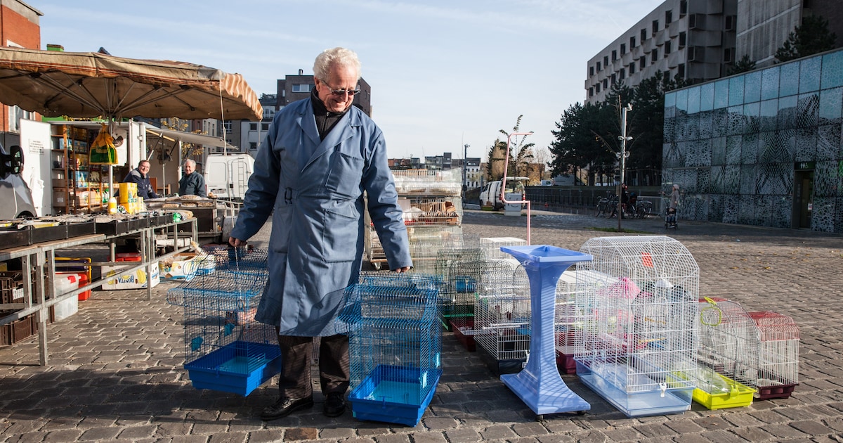 Vanaf 2026 worden er geen dieren meer verkocht op de Oude Beestenmarkt: “Tijden veranderen”.