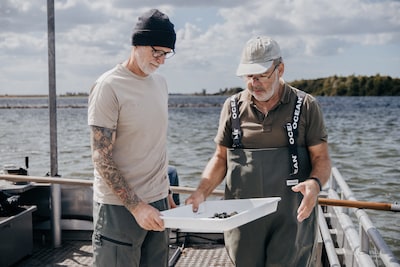 Vijf vragen over tapijtschelpen, het nieuwe Zeeuwse streekproduct waar stropers het op gemunt hebben