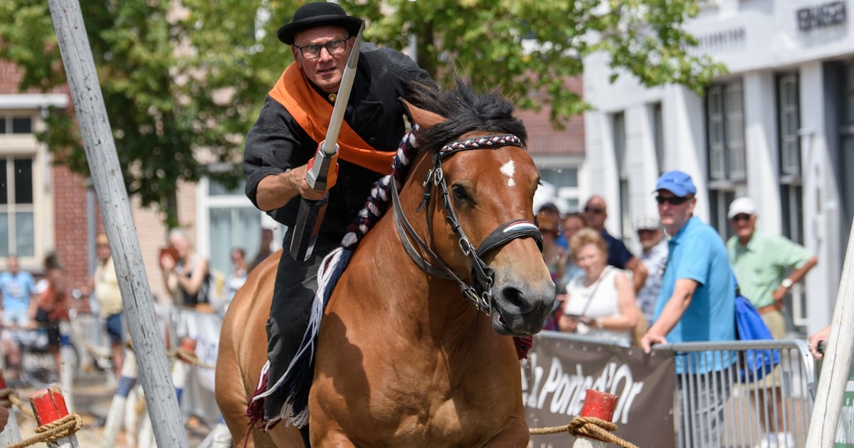 Eeuwenoude paardenmarkt in Zierikzee keert terug: ‘We gaan terug in de tijd’