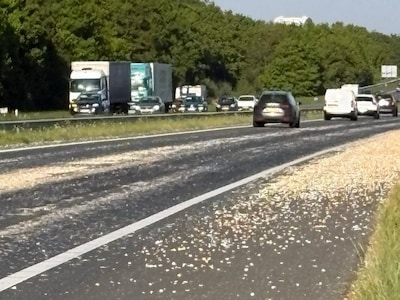 A58 richting Hoogerheide dicht door lading verloren uien