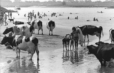 De zomer van 1976, die was pas écht warm in Zeeland