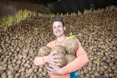 Voor 400.000 kilo knolselderij is het te laat, maar er valt in Rilland nog veel meer te redden