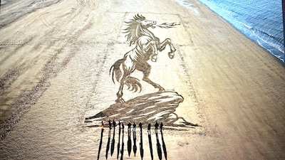 Enorm Chinees Vuurpaard duikt op uit de golven bij Nieuw-Haamstede