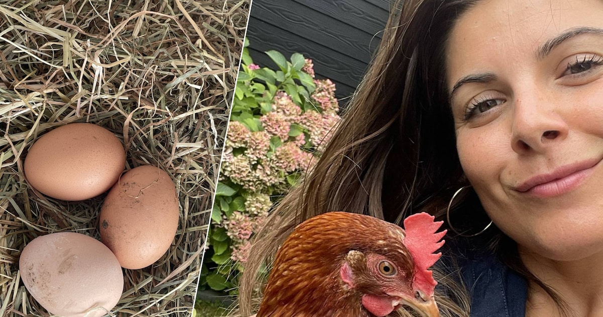 Van melkplas naar PFAS-berg: ‘Brutale’ actie op de Vlasmarkt vraagt aandacht voor eieren