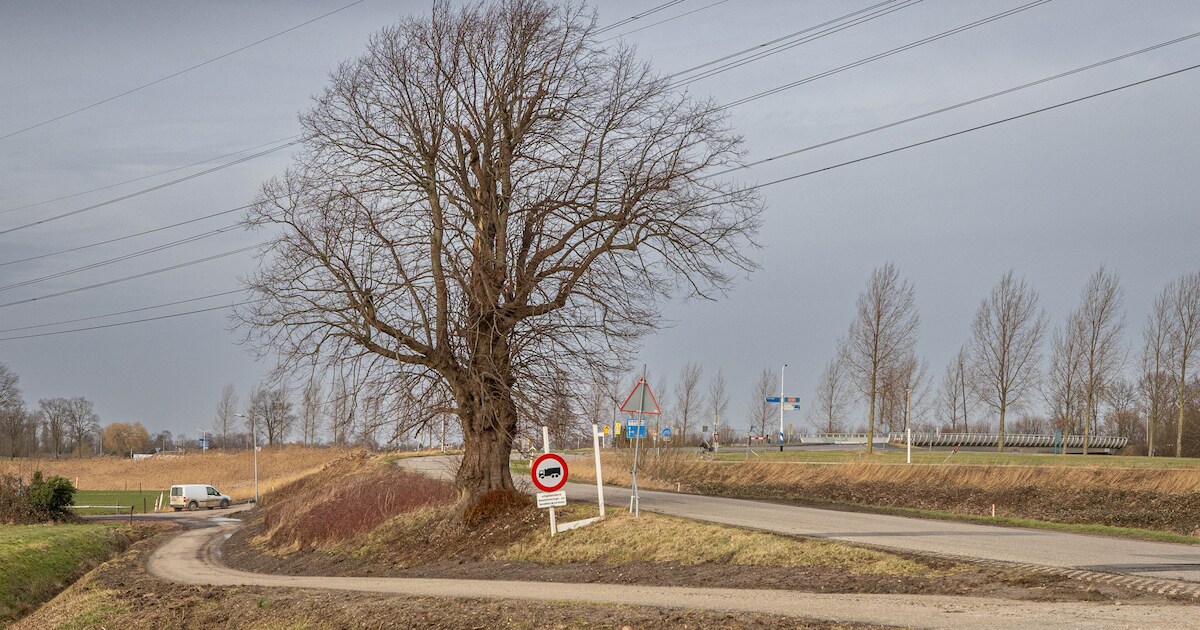 Alle vegetariërs afschieten, pardon? ‘Ik had vegetariërs een prettigere start van de dag toegewenst 