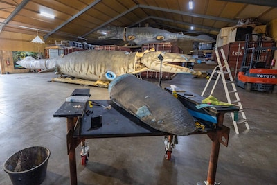 Deze Thoolse aardappelschuur gaat zo'n 155 miljoen jaar terug in de tijd