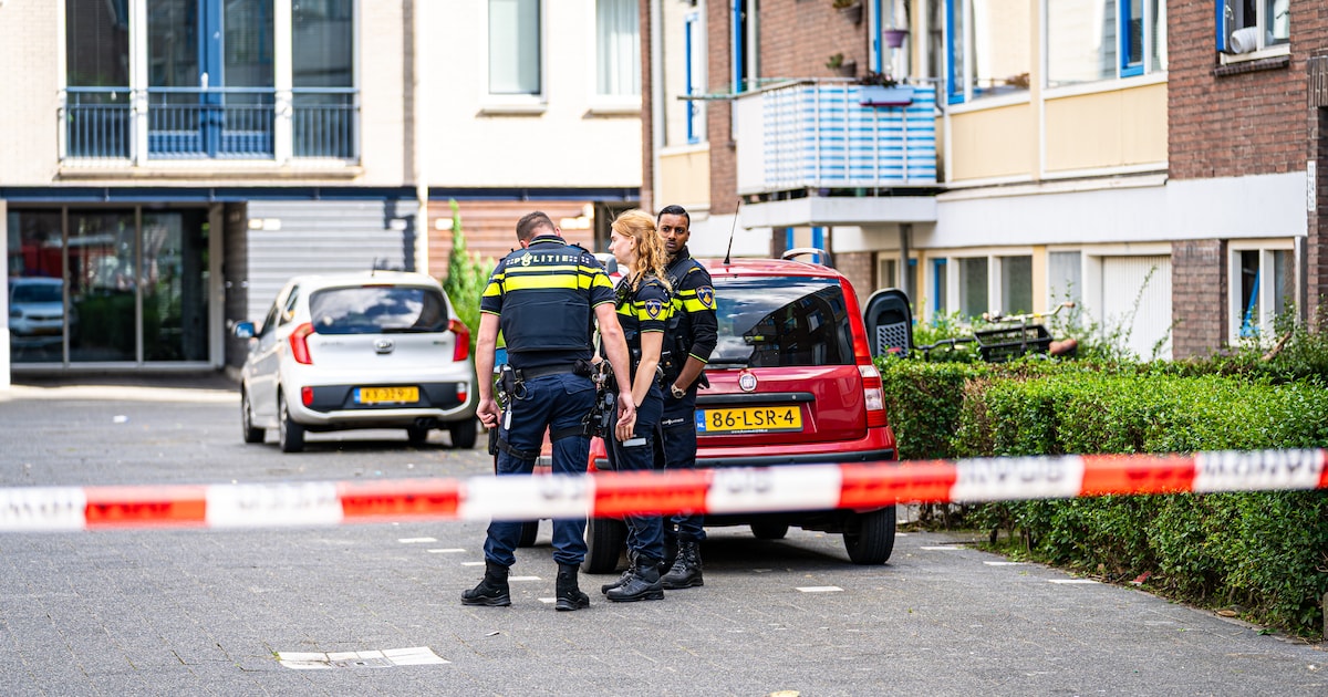 Verdachte (41) aangehouden na steekincident in woning Vlaardingen