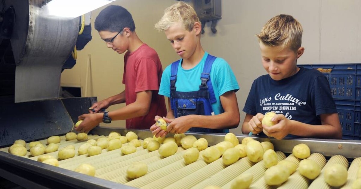 Puur natuur friet, en anders niet