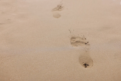 Naturisten kunnen een maand niet terecht op strandje Oesterdam