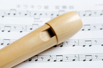 Blokfluit en klavecimbel klinken tijdens Stadhuisconcert in Tholen