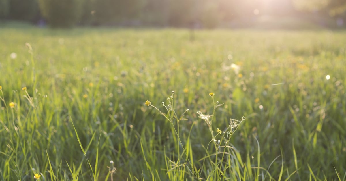 Bijeenkomst over plannen Park Toorenvliedt in Middelburg