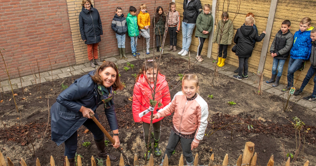 Van daslook tot krentenboom, op De Horizon smullen ze straks uit hun ...