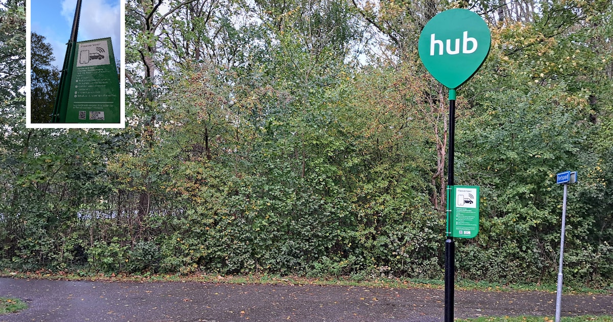 In heel Zeeuws-Vlaanderen komen hubs, maar of dít nou een goede plek is...