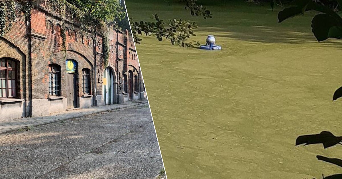 Water? Dit lijkt wel een gazon: vandalen beschadigen zuurstofinstallatie van grachten rond Fort van 