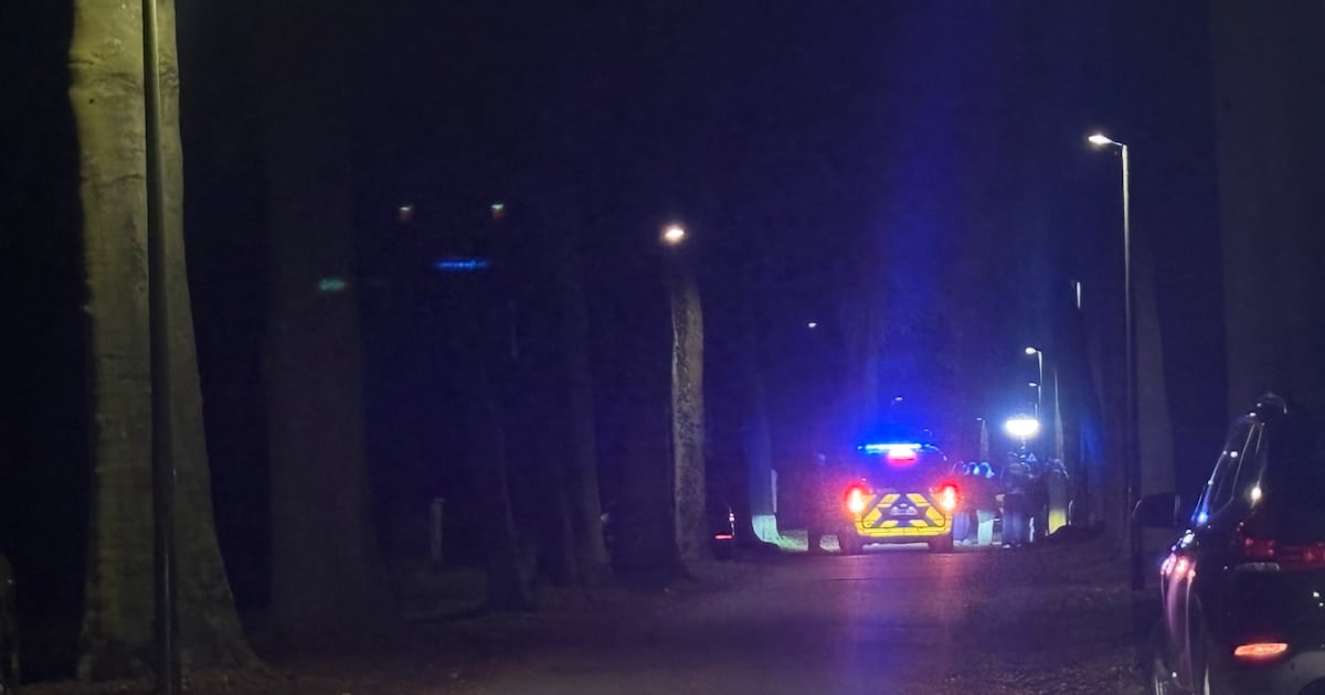 Man (50) overleden en jongeman (19) kritiek na crash met Porsche tegen boom in Sint-Kruis: “Bestuurd