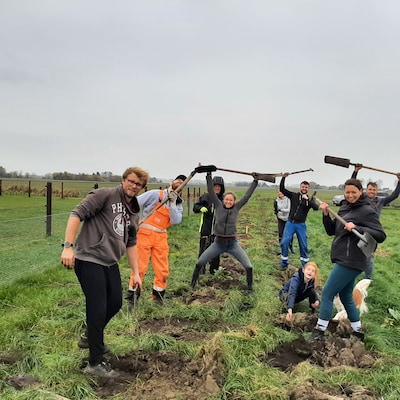 Vincent beschermt voedselbos op Schouwen met geredde boompjes: ‘Hazen vreten die aan en daardoor niet mijn munt’