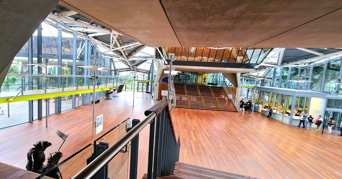 Machetes, pepperspray en boksbeugels: élke dag worden wapens onderschept in Justitiepaleis Antwerpen