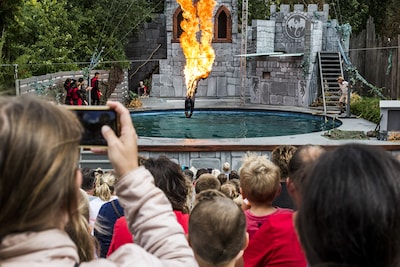 Duiker gewond bij show in Avonturenpark Hellendoorn, toeschouwers getuige