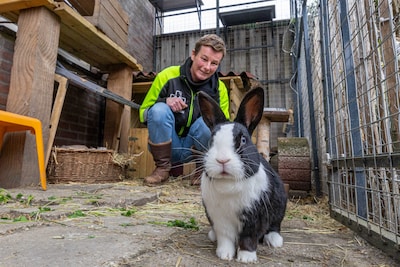 Konijnenopvang puilt uit: ‘Tienermoeders worden uit de auto gegooid’