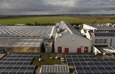 Pionieren in de polder van Rilland: Limagrain kweekt straks volledig zelfvoorzienend superzaad