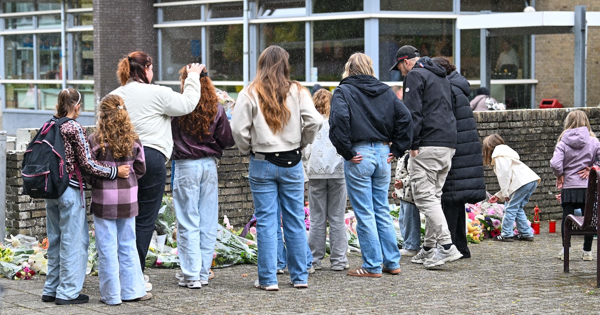 Hoe help je de klas na het dodelijke schoolreisongeluk bij Vogelwaarde? ‘Je wilt niet dat kinderen g