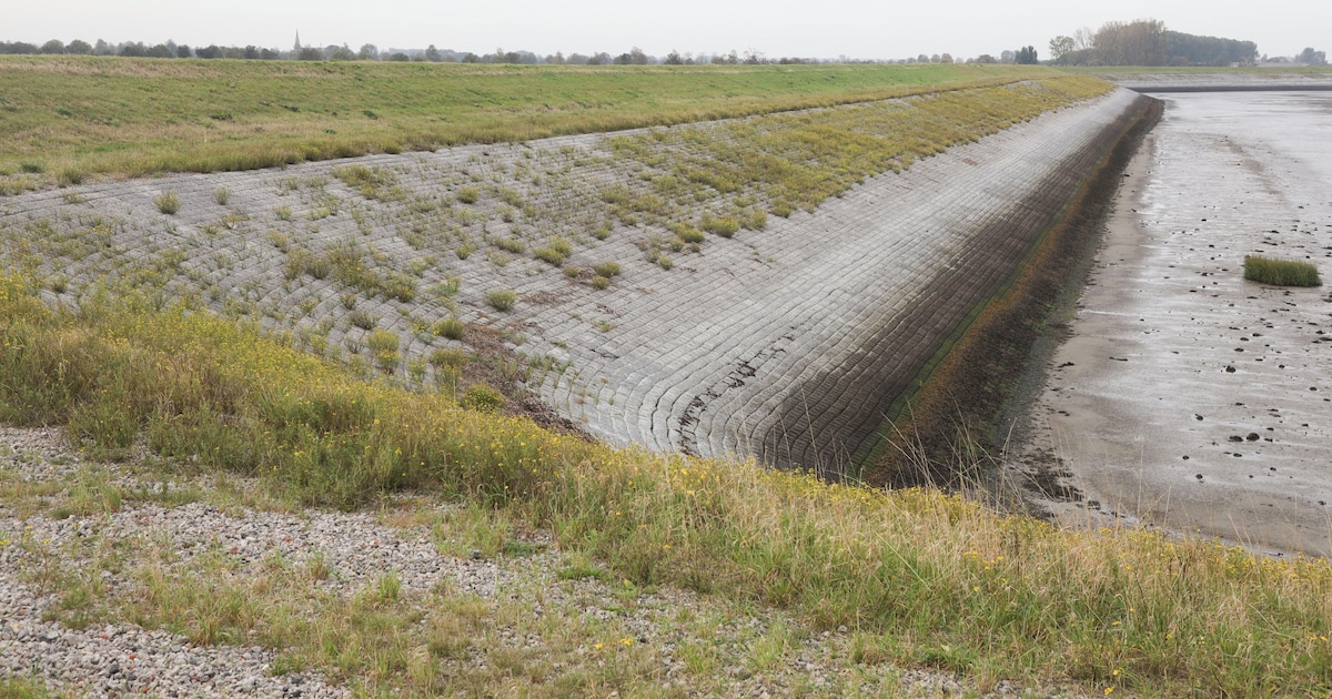 Afgraven vervuilde dijk bij Walsoorden blijft uiterste optie (maar is hopelijk nooit nodig)