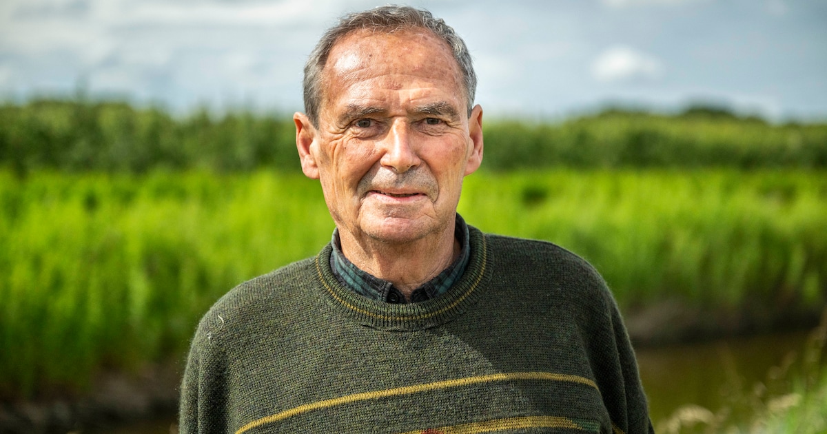 schroeven zonder voorboren in de hardste houtsoorten