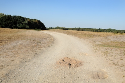 Geliefd gatenkaasfietspad in de Schouwse natuur wordt eindelijk vernieuwd