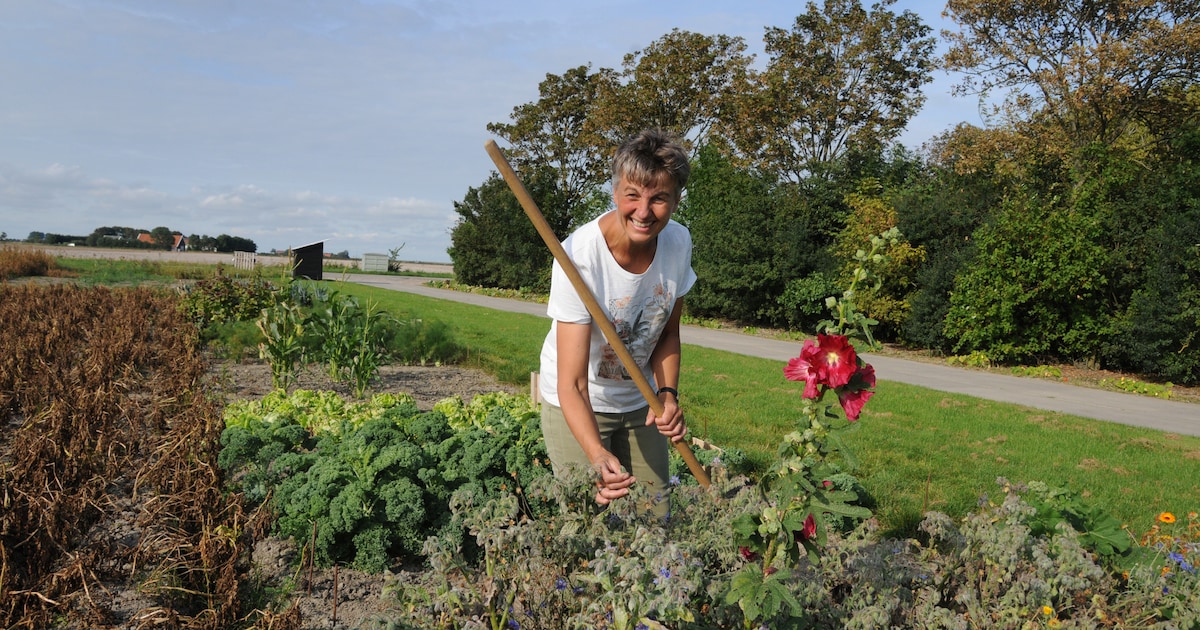 Bij Annet van Langeraad in De Plukpolder pluk je je eigen verse maaltje bij elkaar