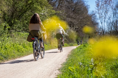 Schouwen-Duiveland zet zich in voor een hemelsbreed fietspad langs de Grevelingen