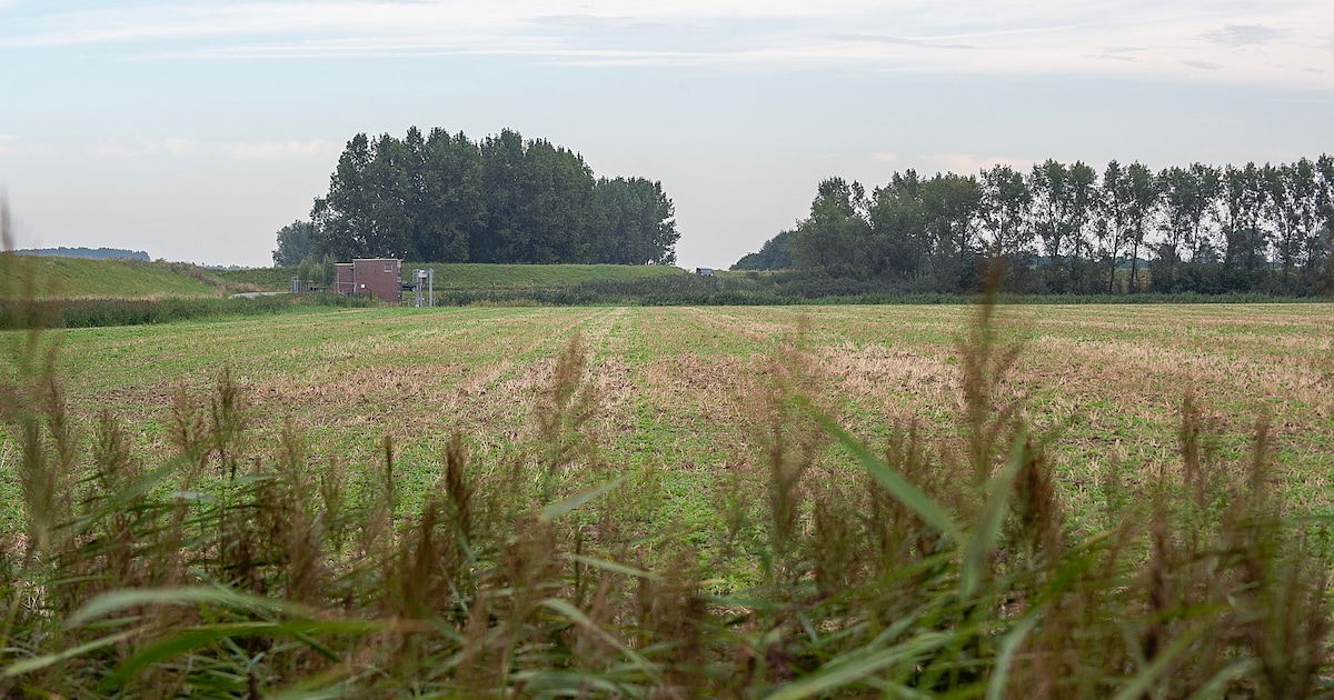 ‘Serieuze mijlpaal’ rond versterking Zeeuws stroomnet, maar in Halsteren ligt de boel nog stil