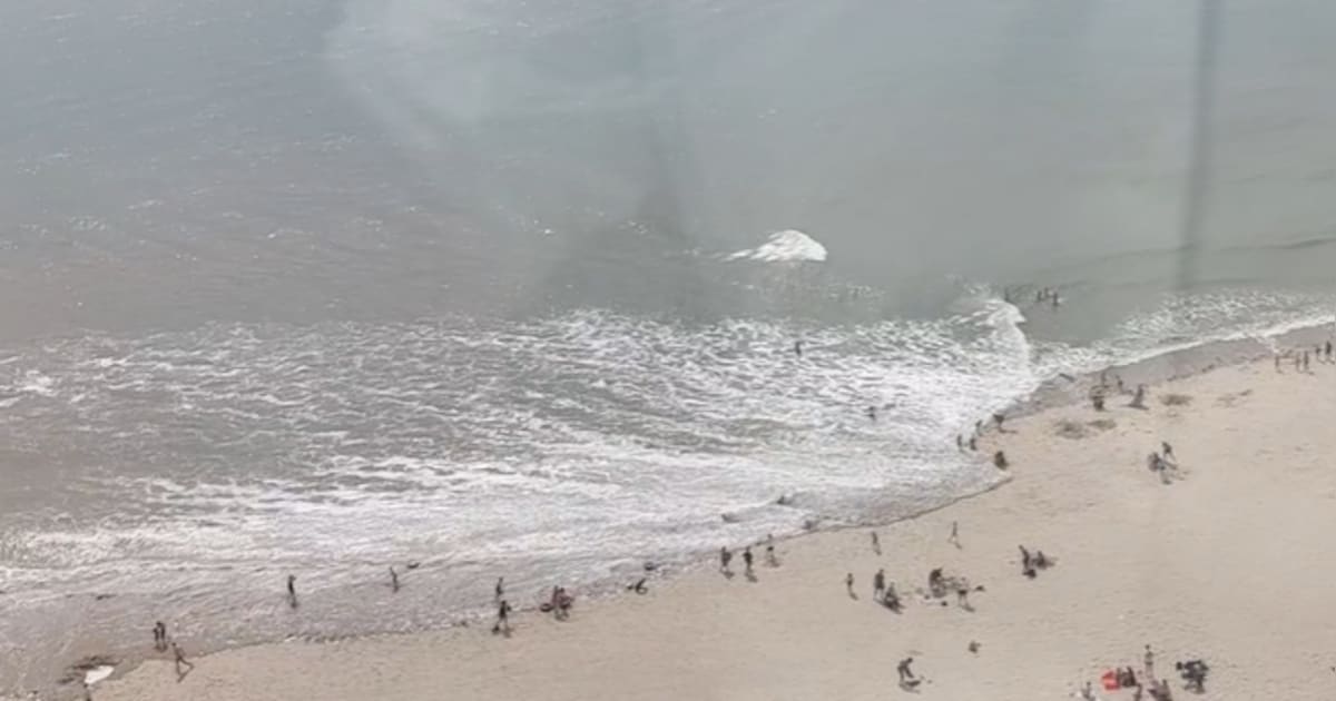 Hekgolf hoort bij Badstrand Vlissingen: ‘Als het water wegtrekt, weet je dat er iets terugkomt’