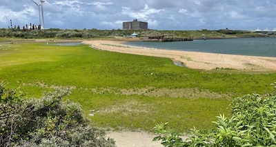 Opnieuw discussie over snijden van zeegroenten ‘We zijn volledig doorgeschoten’