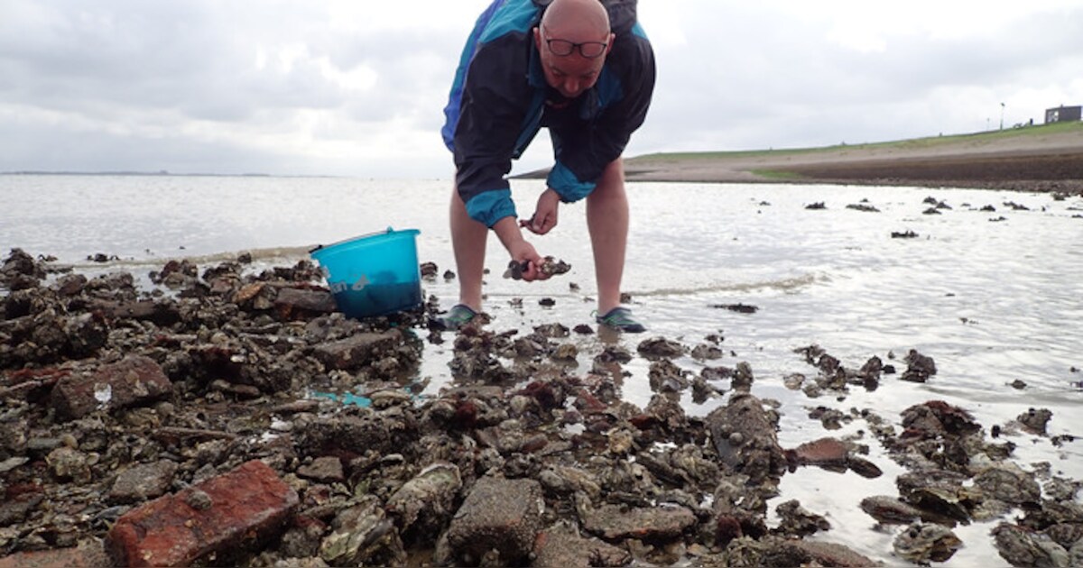 Gemist? Vóór 2022 valt besluit over verbetering Deltaweg | Niet alles wat de Oosterschelde aan lekke