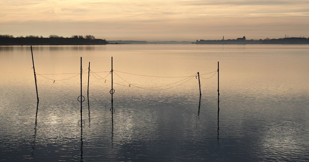 MIJN FOTO | Windstil water in Veere | Regio | PZC.nl