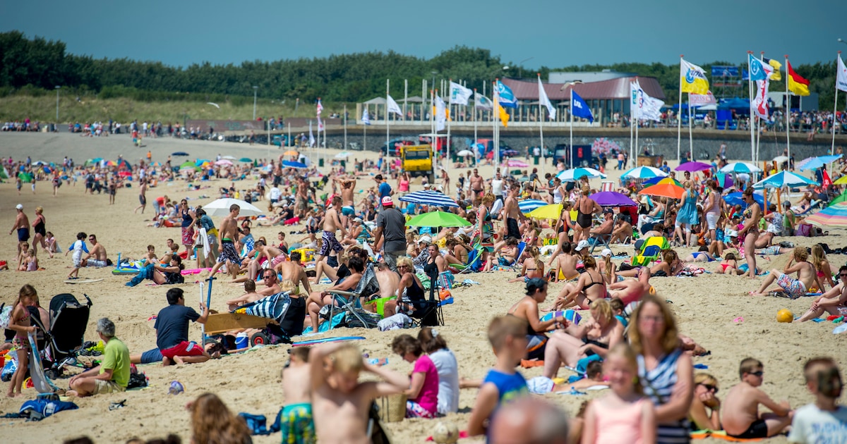 Stranddag in Vlissingen? Zo check je thuis alvast hoe druk het is