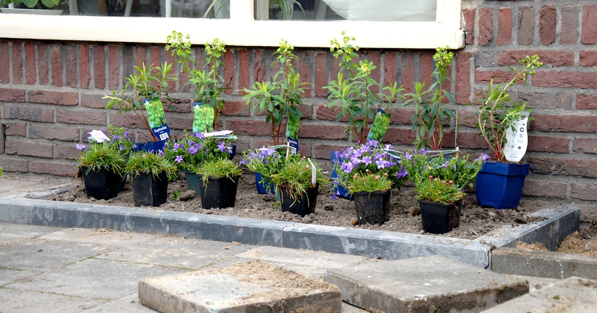 Tegeltaxi haalt tegels op in Veere voor NK Tegelwippen