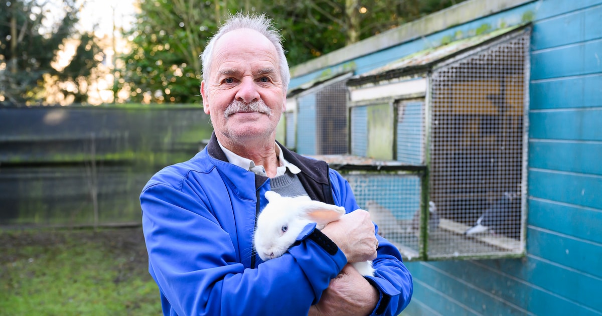 Dierenasiel Socio vzw organiseert dierenadoptiedag