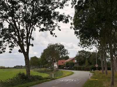Thoolse kwestie van asielzoekers gaat over méér dan alleen asielzoekers
