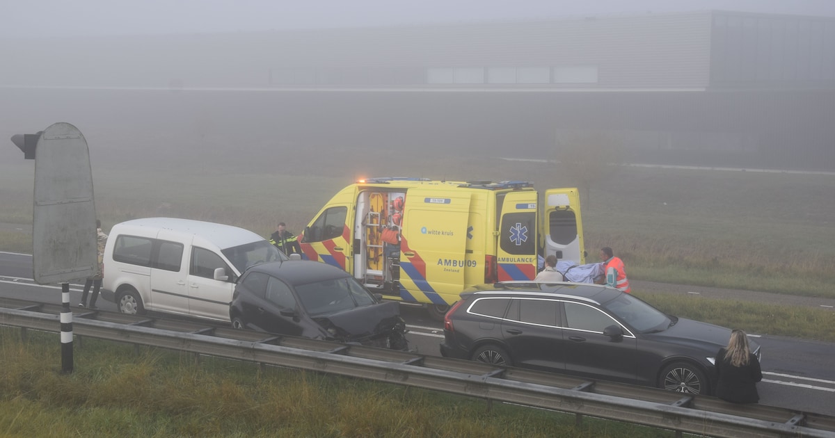 Zeelandbrug weer vrij na botsing tussen taxibusje en autos.