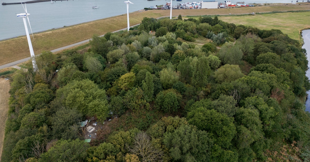 Gemeente schrikt van beeld dat SGP schetst rond mogelijke ontruiming ‘flakkaberg’