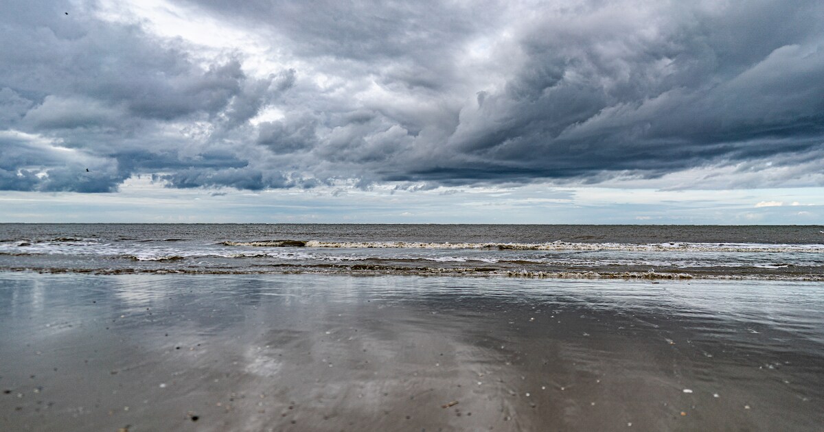 Leer alles over de Noordzee in Rockanje