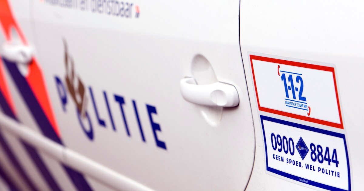 Schietpartij in Wielwijk blijkt klap op container