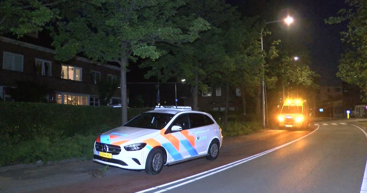 Hof gelooft zwijgende overvaller niet: celstraf voor brute Rolex-roof in Goes