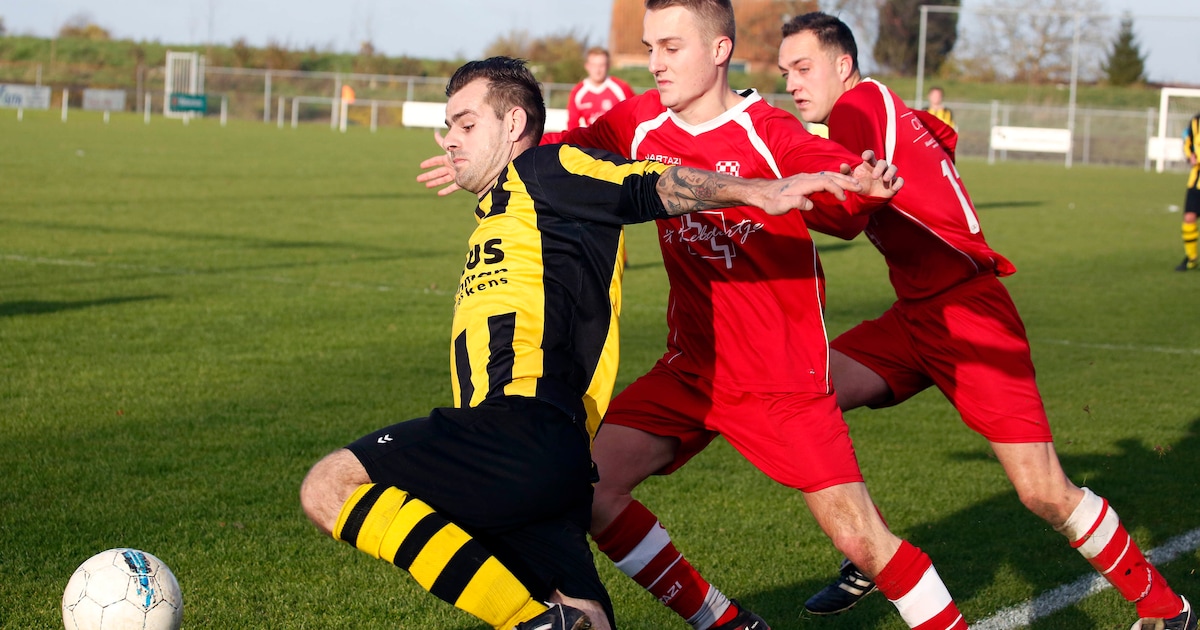 Hoofdplaat heeft een nieuwe trainer: Steve Kesteleyn