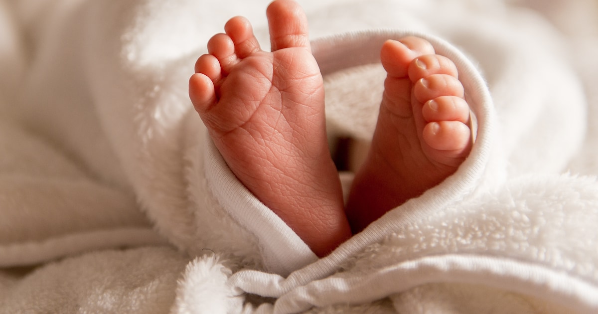 Vrouwen op Tholen krijgen opvallend veel kinderen