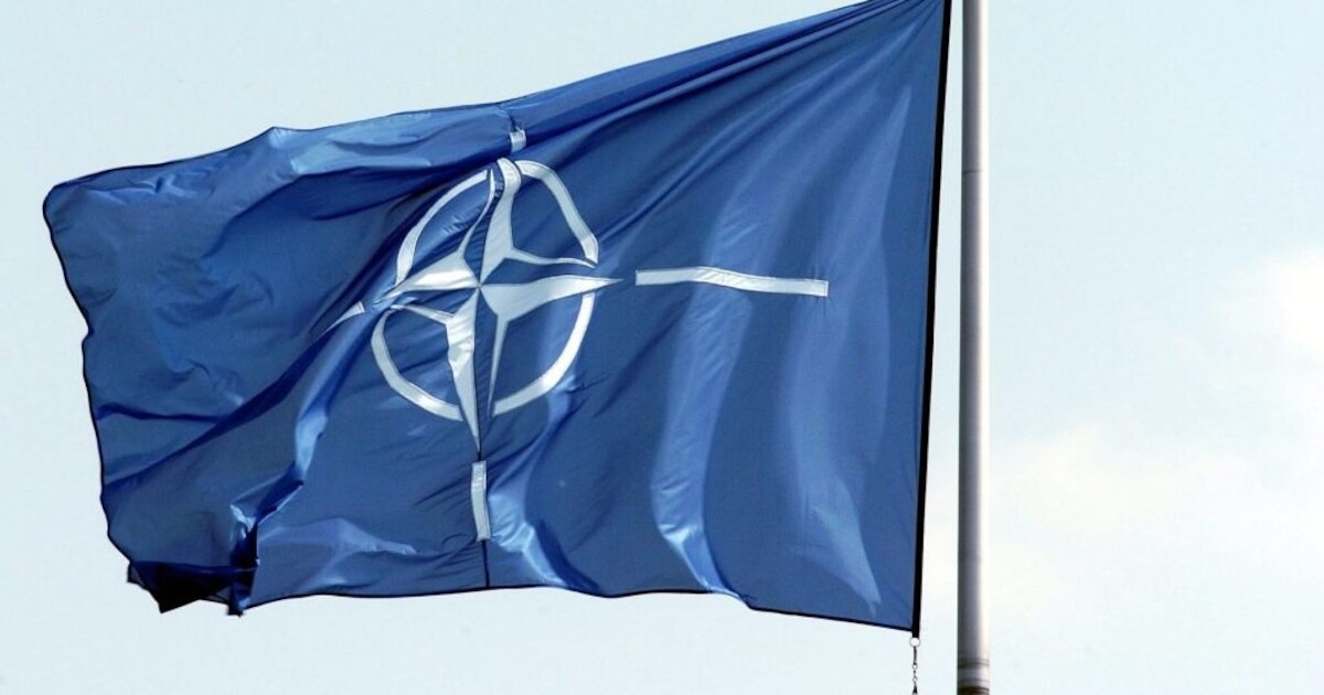 Inwoners Terhole stemmen op nieuwe dorpsvlag