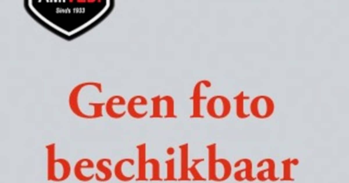 Heb jij Lotje gezien? Dit huisdier wordt in Borsele vermist